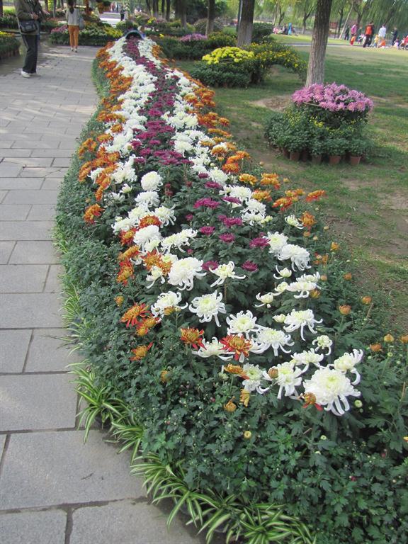 威廉希尔·(WilliamHill)中文官方网站