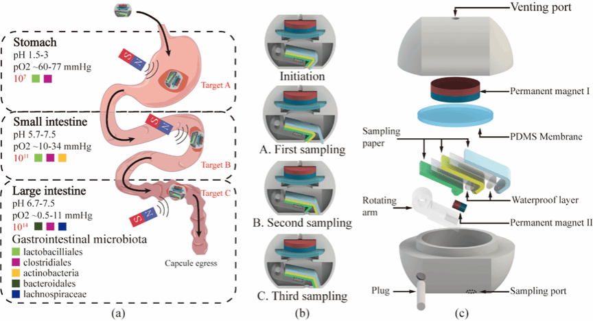 威廉希尔·(WilliamHill)中文官方网站