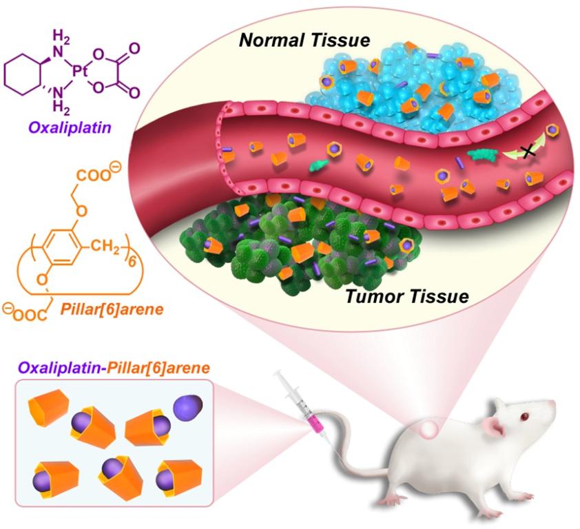 威廉希尔·(WilliamHill)中文官方网站