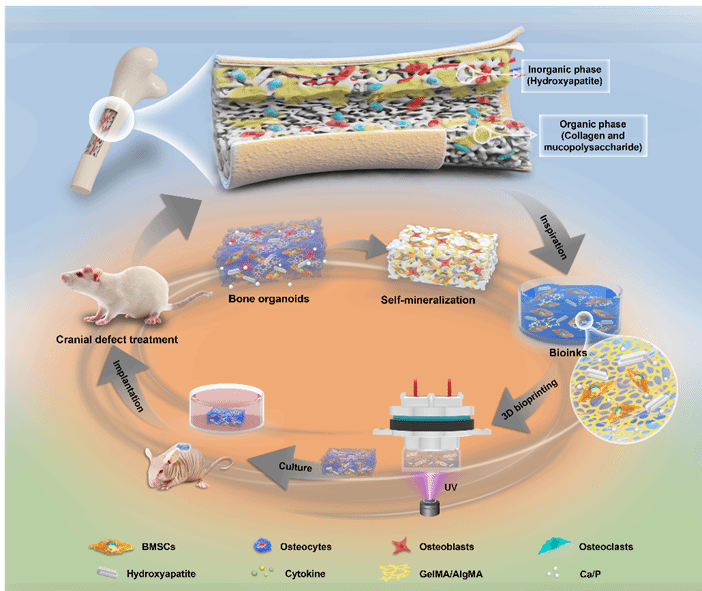 威廉希尔·(WilliamHill)中文官方网站