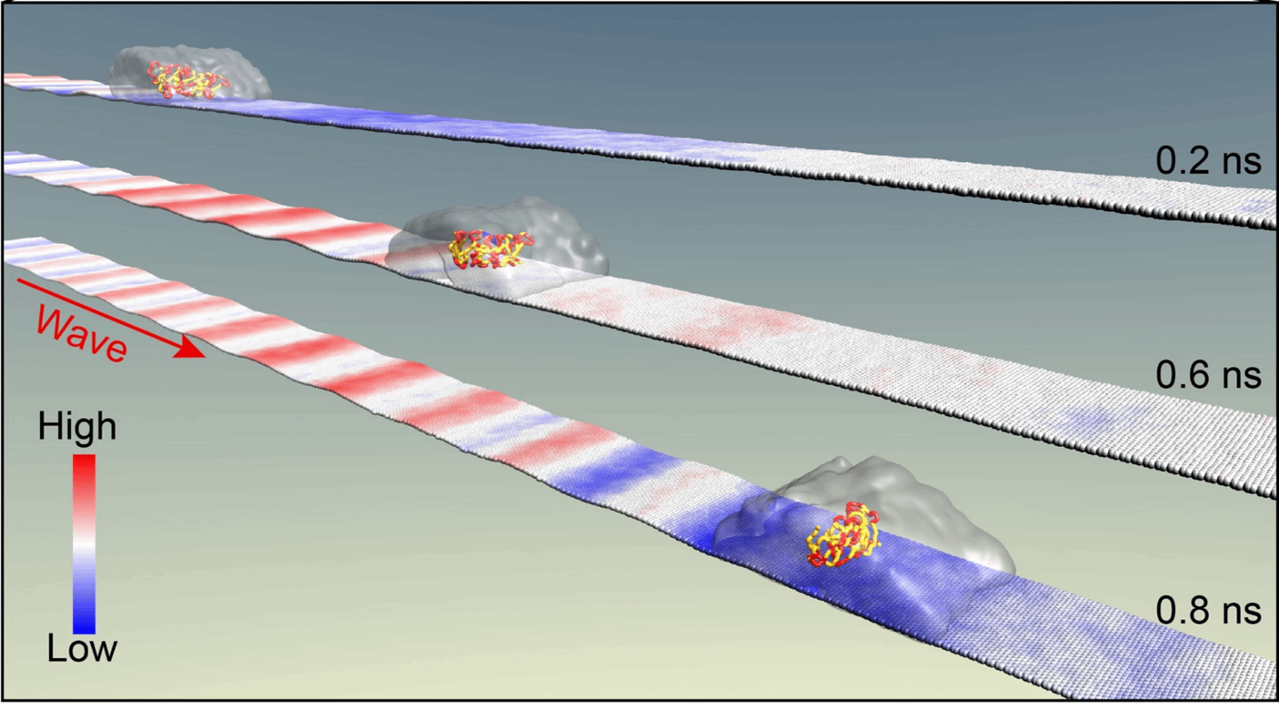 威廉希尔·(WilliamHill)中文官方网站