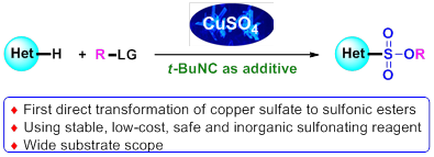 威廉希尔·(WilliamHill)中文官方网站