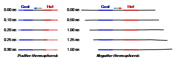 威廉希尔·(WilliamHill)中文官方网站