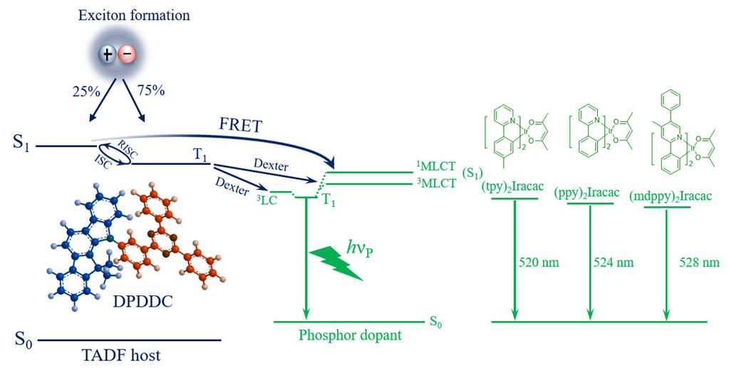 威廉希尔·(WilliamHill)中文官方网站