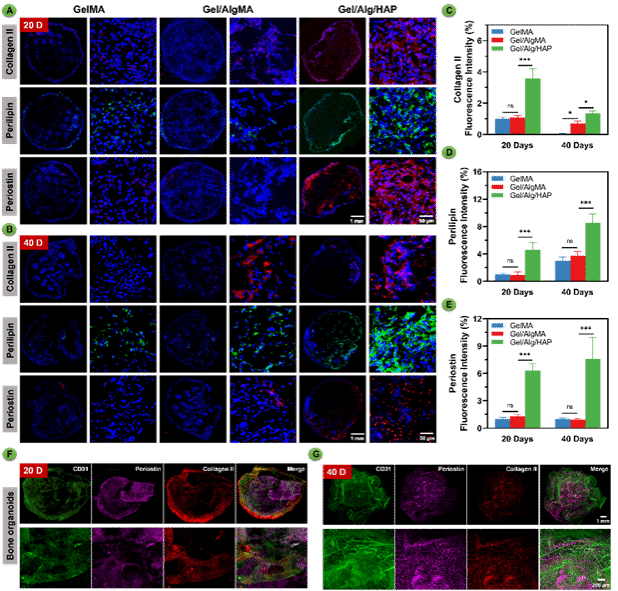 威廉希尔·(WilliamHill)中文官方网站