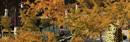 威廉希尔·(WilliamHill)中文官方网站